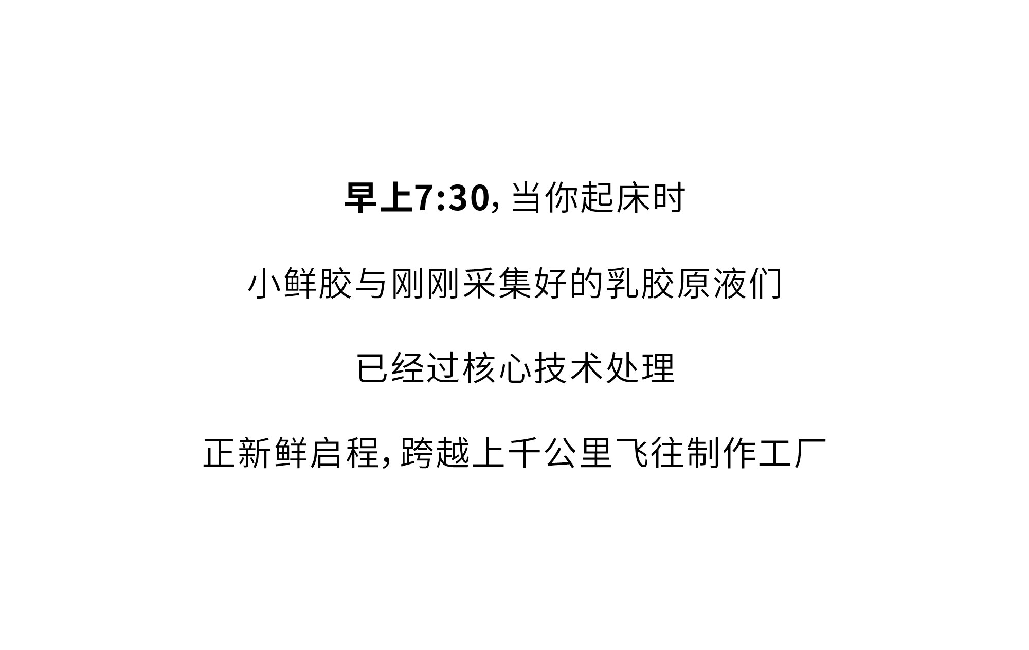 欢迎和小鲜胶一起，每天睡好觉！