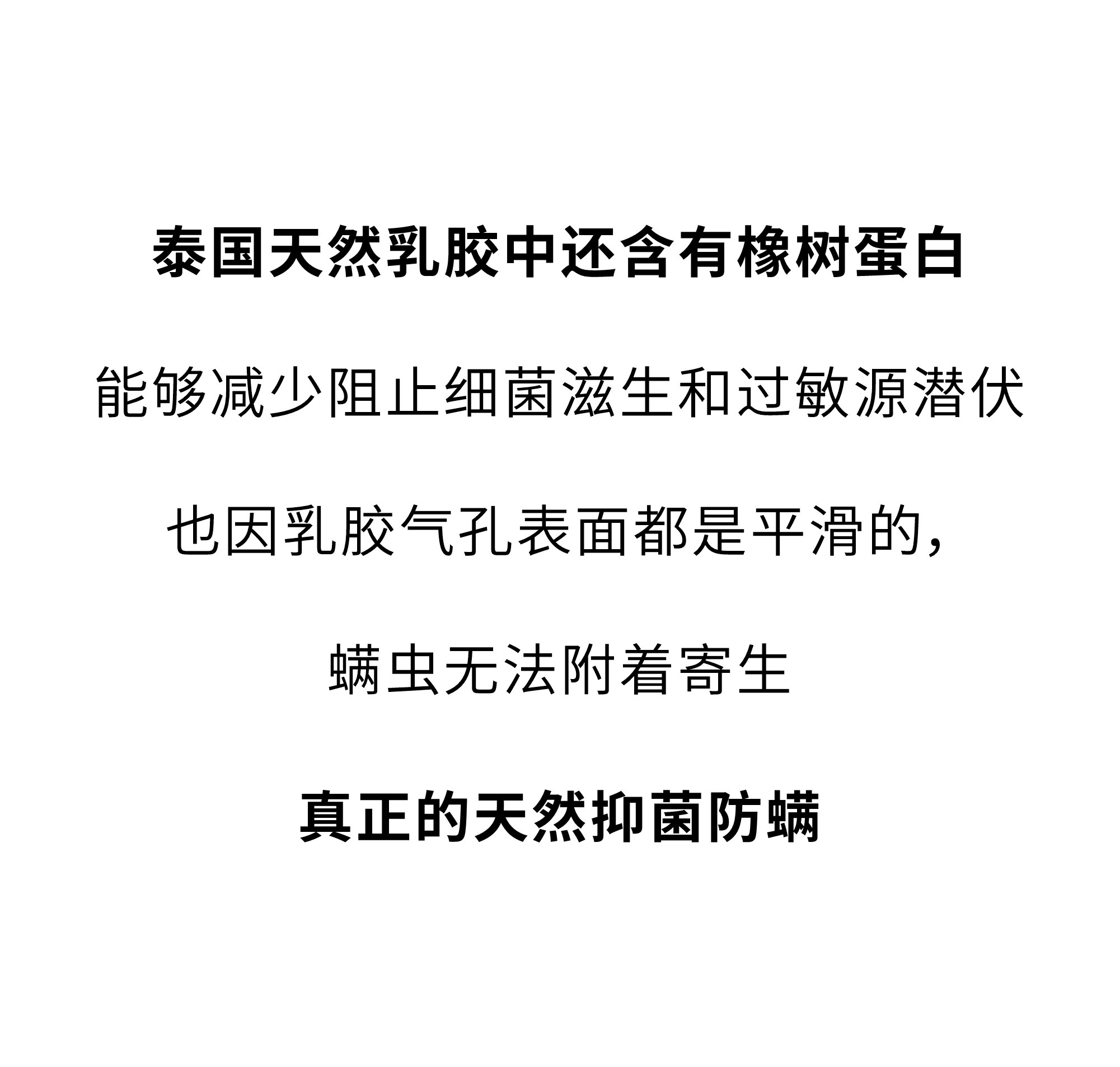 欢迎和小鲜胶一起，每天睡好觉！