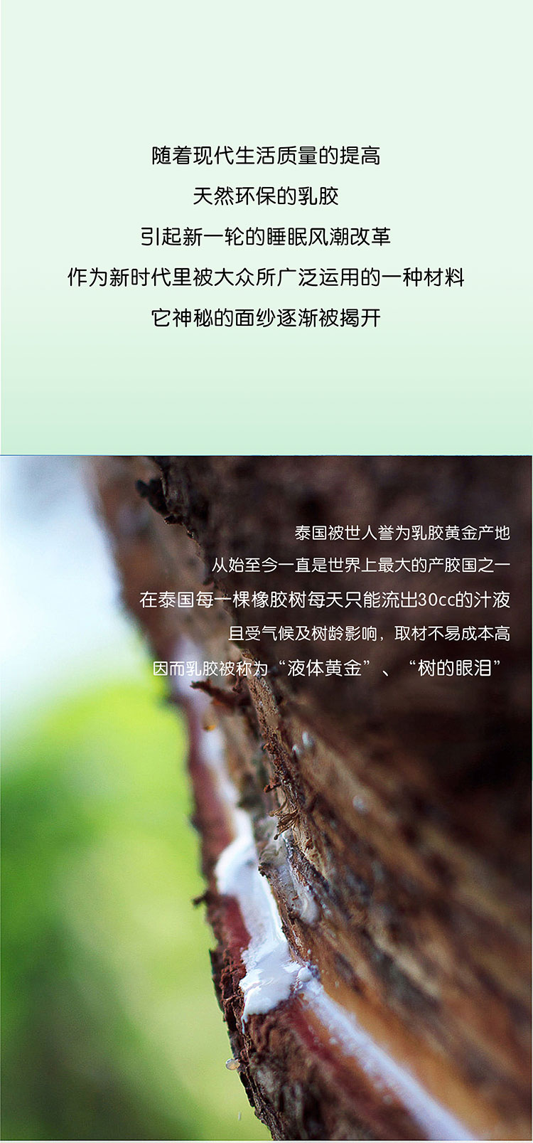 欢迎和小鲜胶一起，每天睡好觉！