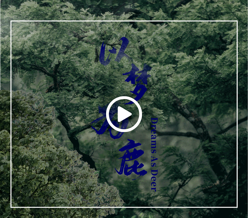 林间鹿纯棉四季绒套件 | 以梦为鹿，探寻温暖的秘密。