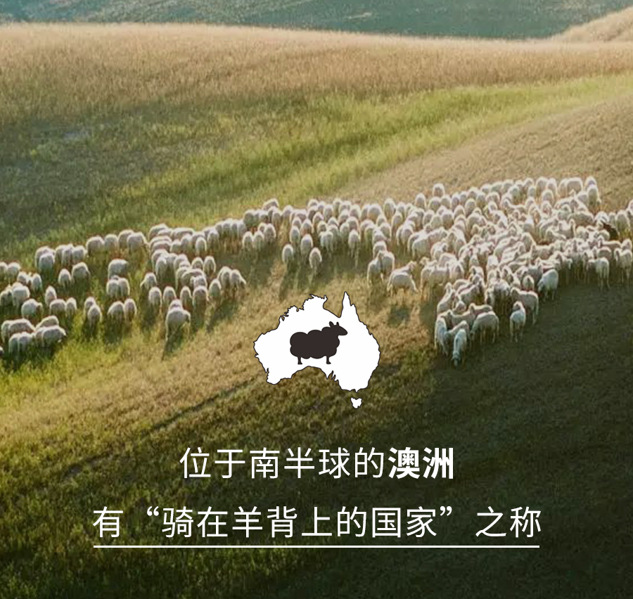 尊龙凯时人生就是博1995澳洲羊毛系列全新登场，温暖入秋冬